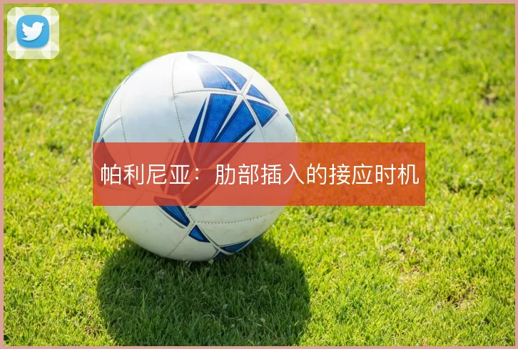 帕利尼亚：肋部插入的接应时机